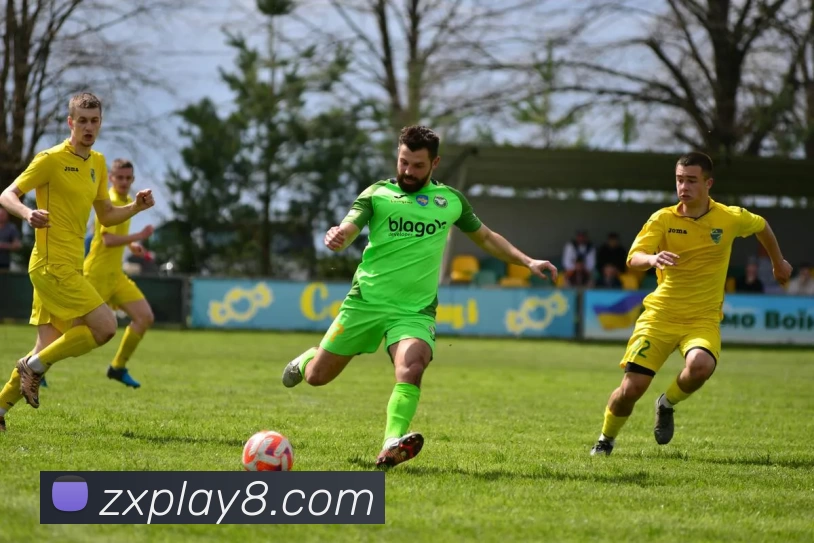 多媒体互动体验